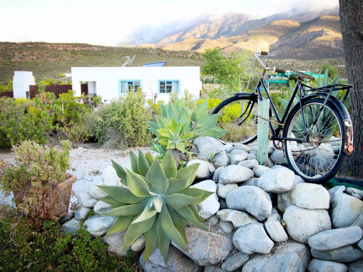 Villa Starry Starry Night - Route 62 Montagu Exterior foto
